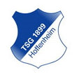 Hoffenheim - logo